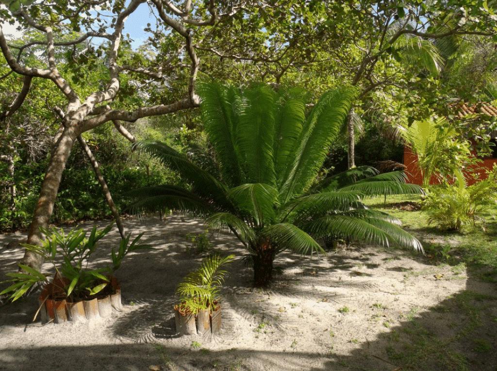 Pousada Quartinho de Praia Velha Boipeba Exterior foto